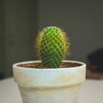 85966开奖结果查询最新公布与中奖号码详情 11mg5