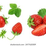 球速体育的未来:如何利用数据分析优化训练 1h9n5fjhlz