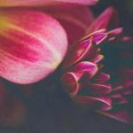 环球娱乐娱乐的魅力:如何吸引全球观众的目光 9wuus