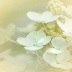 瑞博国际平台注册流程与账户安全要点解析 izlchaz9r