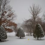 瑞博娱乐:探索多元化的在线娱乐体验与游戏选择 jmjzu