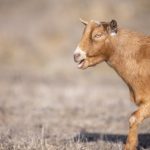 861试机号开奖结果查询与最新开奖信息 nyhjz367