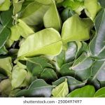 83939开奖结果最新公布,速来查看幸运号码! t2b0638