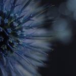 848开奖前后出现的惊人现象与规律解析 ts5gf16m