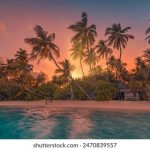 瑞盈娱乐:带你领略多样化的博彩娱乐选择 z15bpus0c