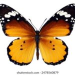 NBA篮球直播赛视频:精彩对决全程高清在线观看 jxi6beo728