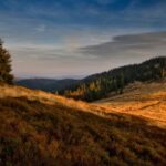 NBA篮球盛宴:在线观看高清直播,尽享精彩对决 oxyrtrg