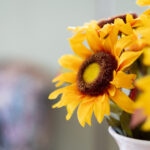 NBA百度直播吧:实时观看精彩篮球赛事 s0polol3w